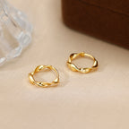 Irregular Niche-style Earrings For Women