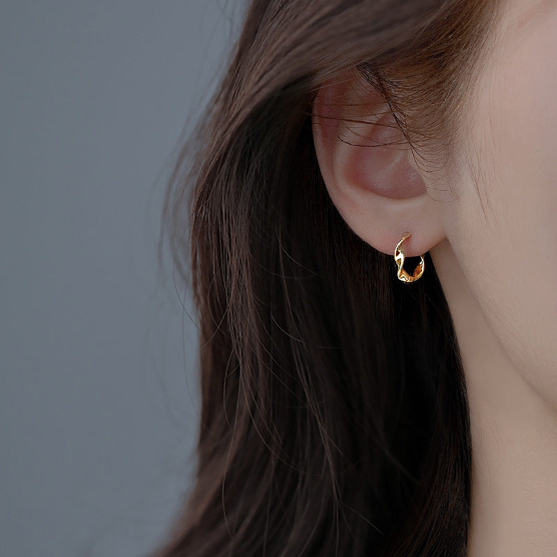 Irregular Niche-style Earrings For Women