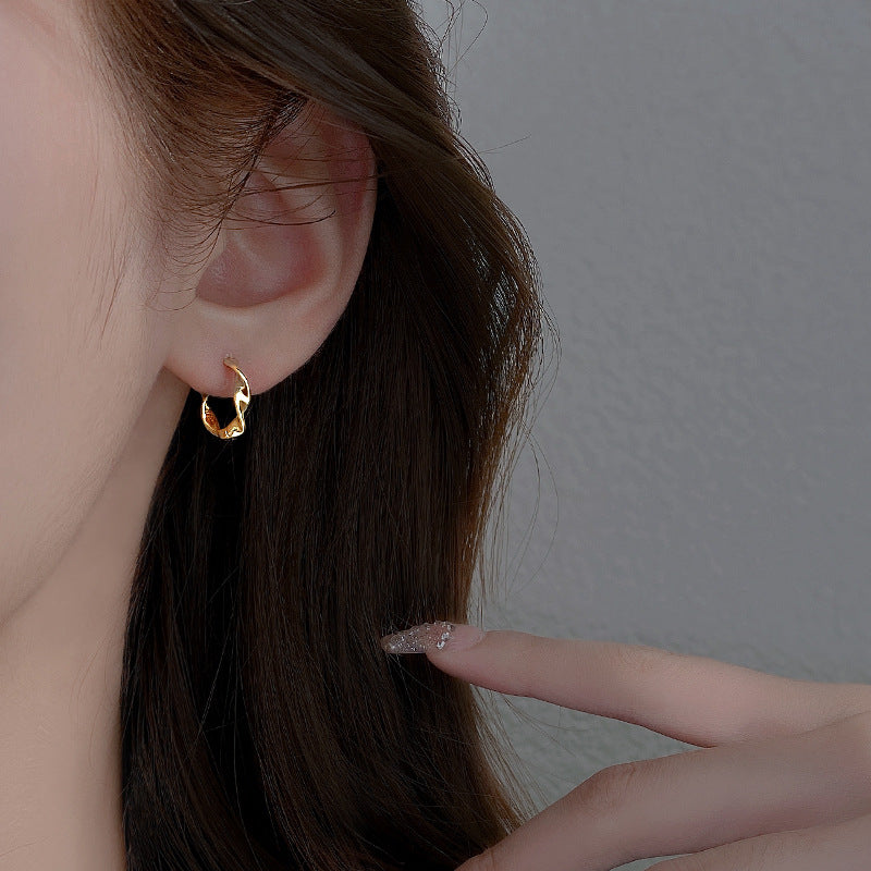 Irregular Niche-style Earrings For Women