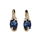 Hot Sale Ear drops Finely Inlaid Stud Earrings