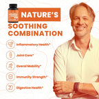 High Potency 1200mg Turmeric and Ginger Supplement Antioxidant 180 Capsules